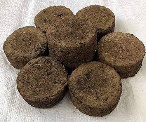 Gobar Uplar - Cow Dung Cake Manufacture - YouTube