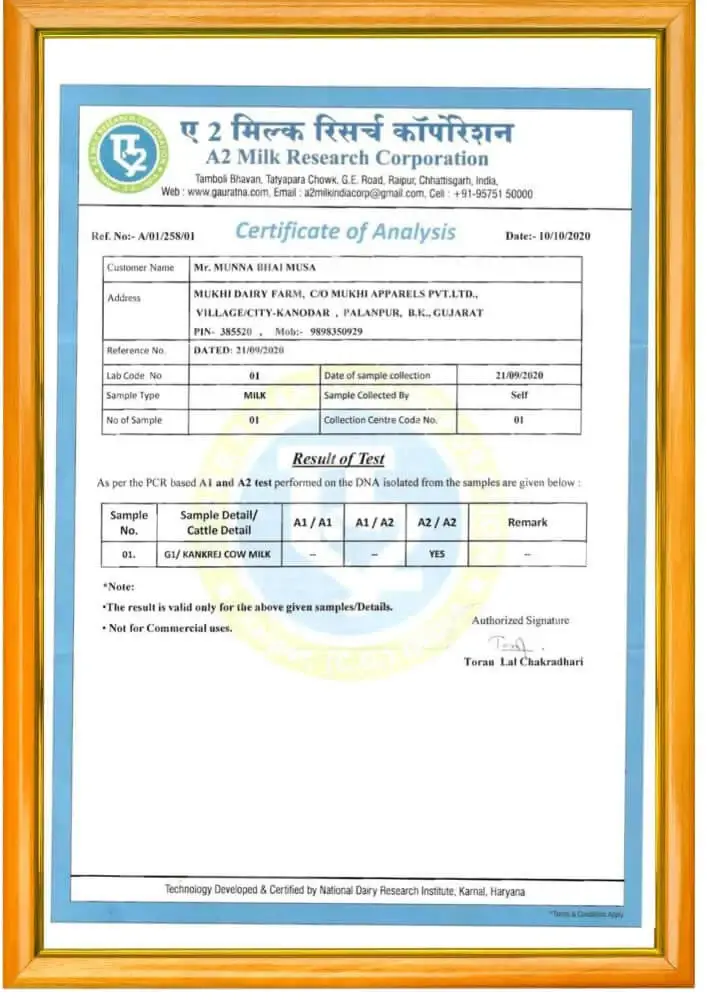 amrutam a2 kankrej test2