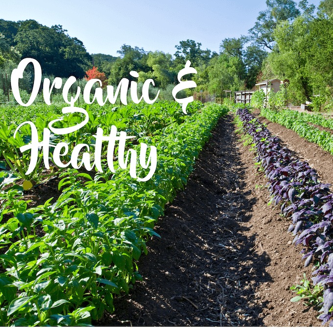 mukhi dairy organic farm