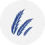 feed education